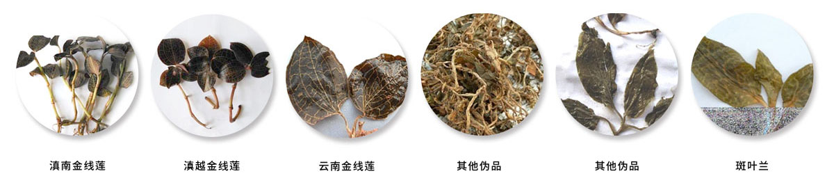 偽品.jpg