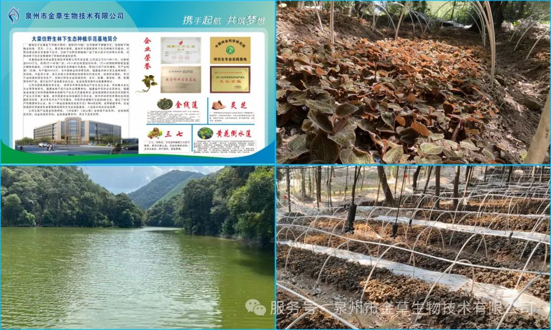 圖片1.png