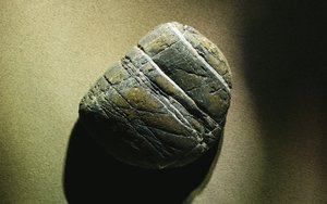 正鑲白旗紡織有限責任公司