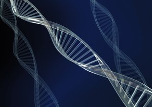 扎賚特旗服飾鞋帽有限責任公司