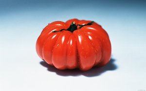 伊金霍洛旗二極管有限責(zé)任公司