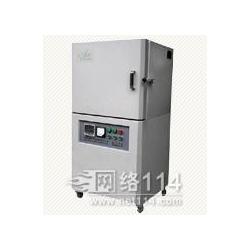 安徽高溫箱式批發(fā) 高溫箱式供應(yīng) 高溫箱式廠家 